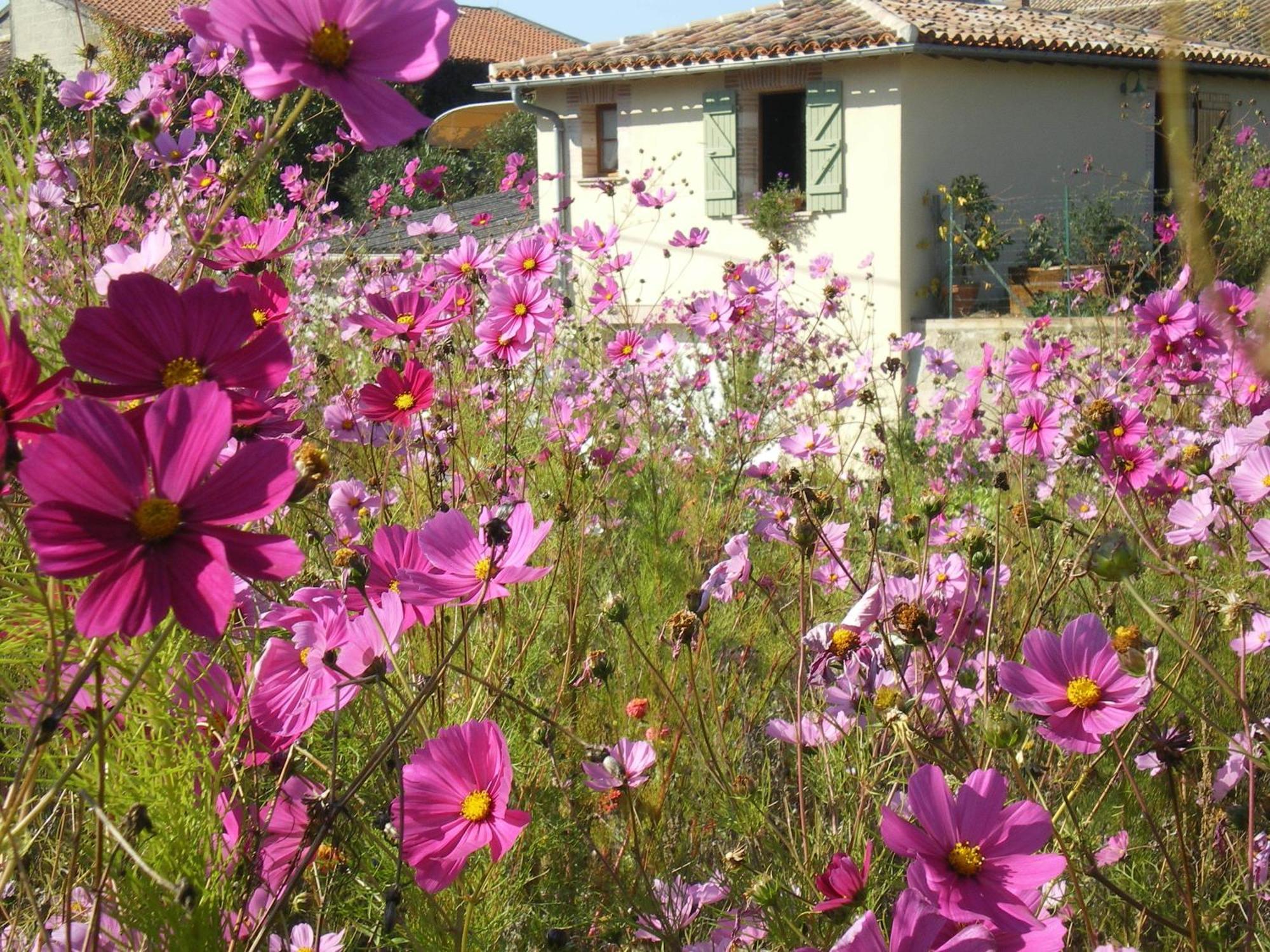 Villa Le Poulailler Lavit Exterior foto